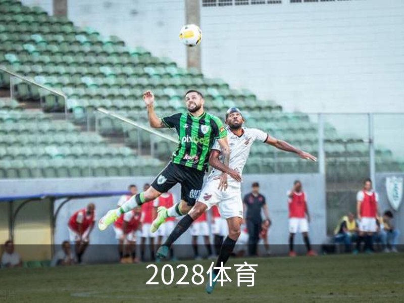2028体育概况